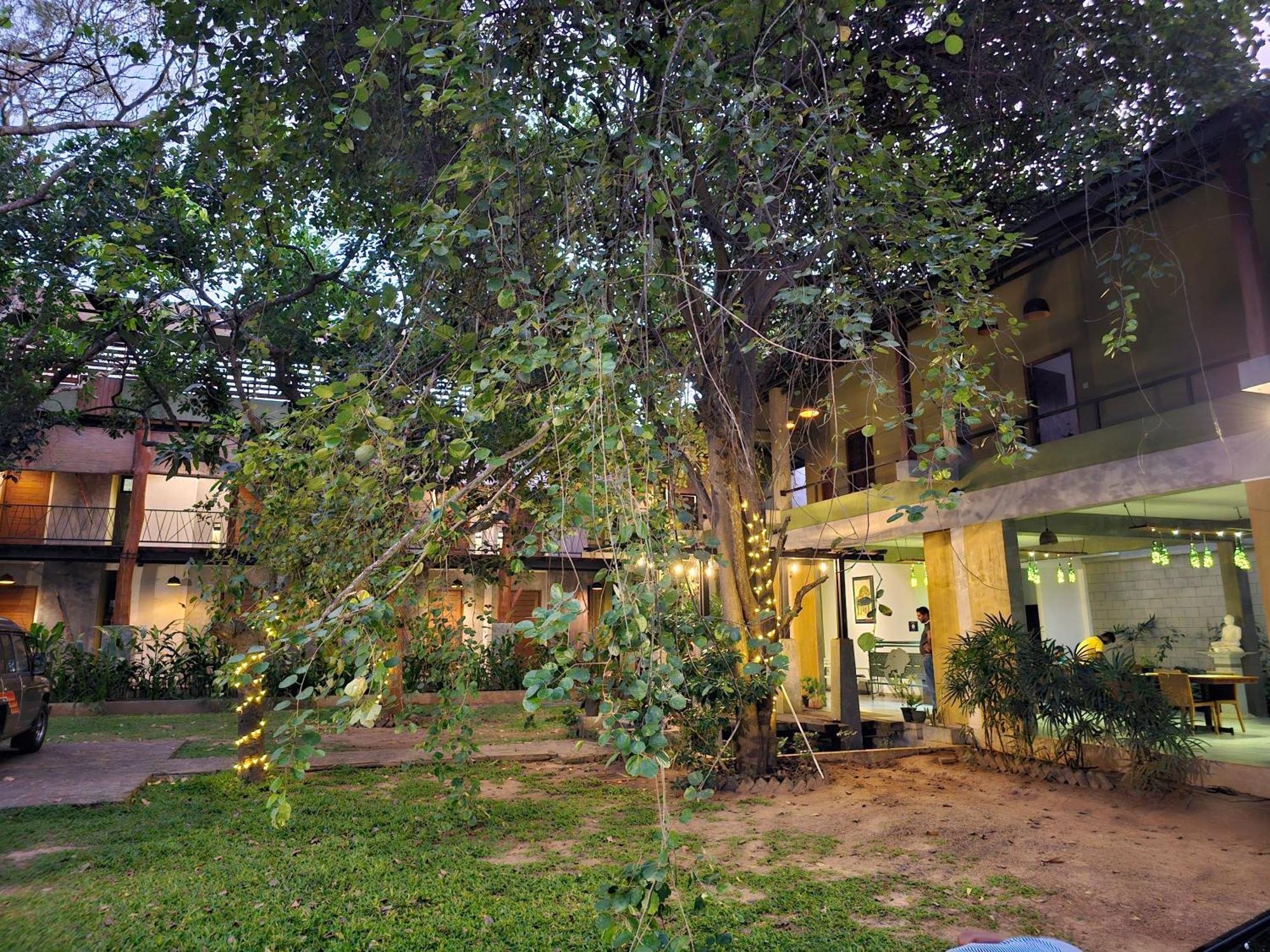 Royal Tusker Hotel Udawalawe Zewnętrze zdjęcie