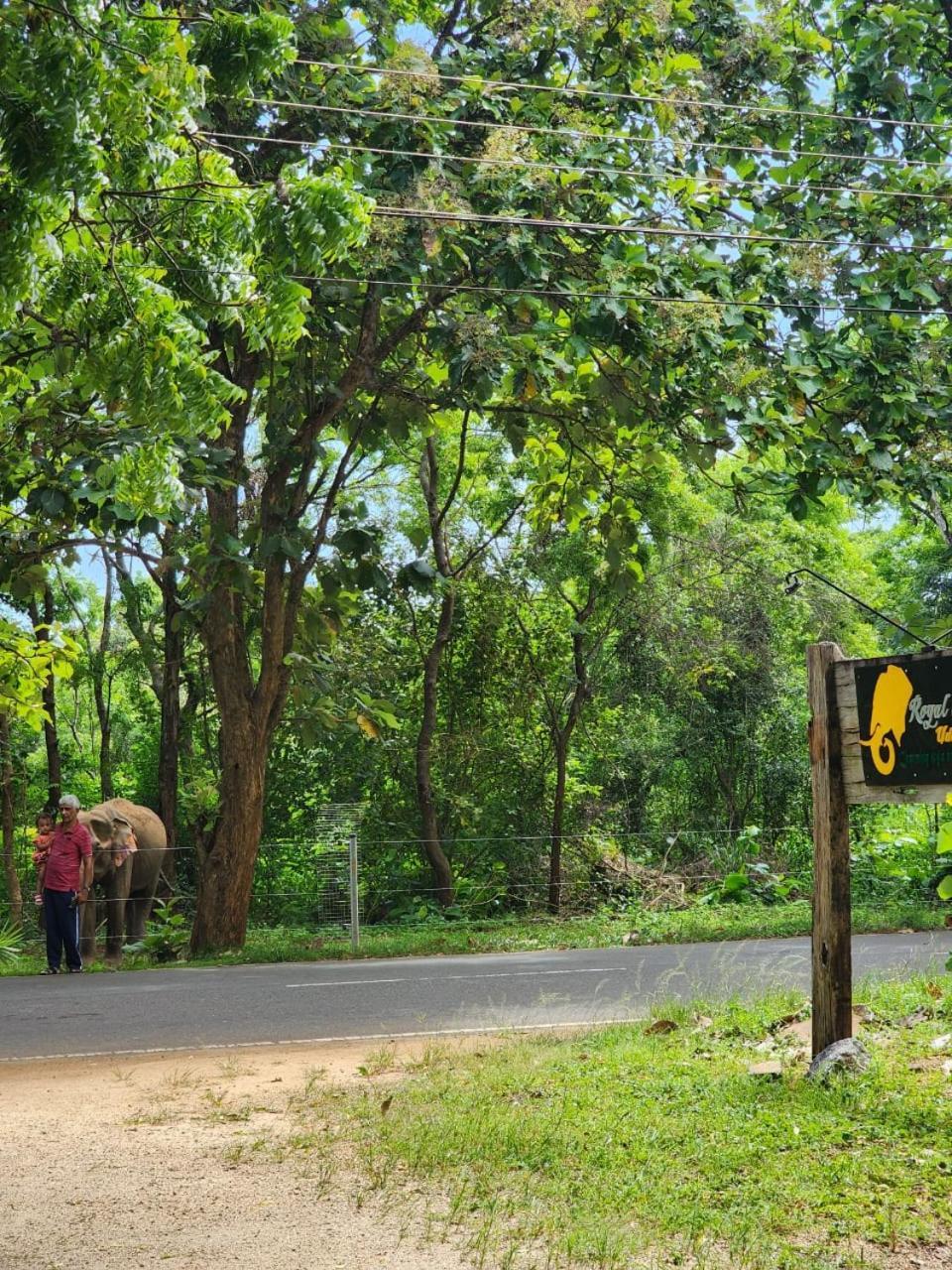 Royal Tusker Hotel Udawalawe Zewnętrze zdjęcie