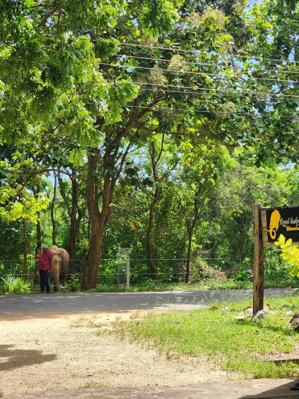 Royal Tusker Hotel Udawalawe Zewnętrze zdjęcie