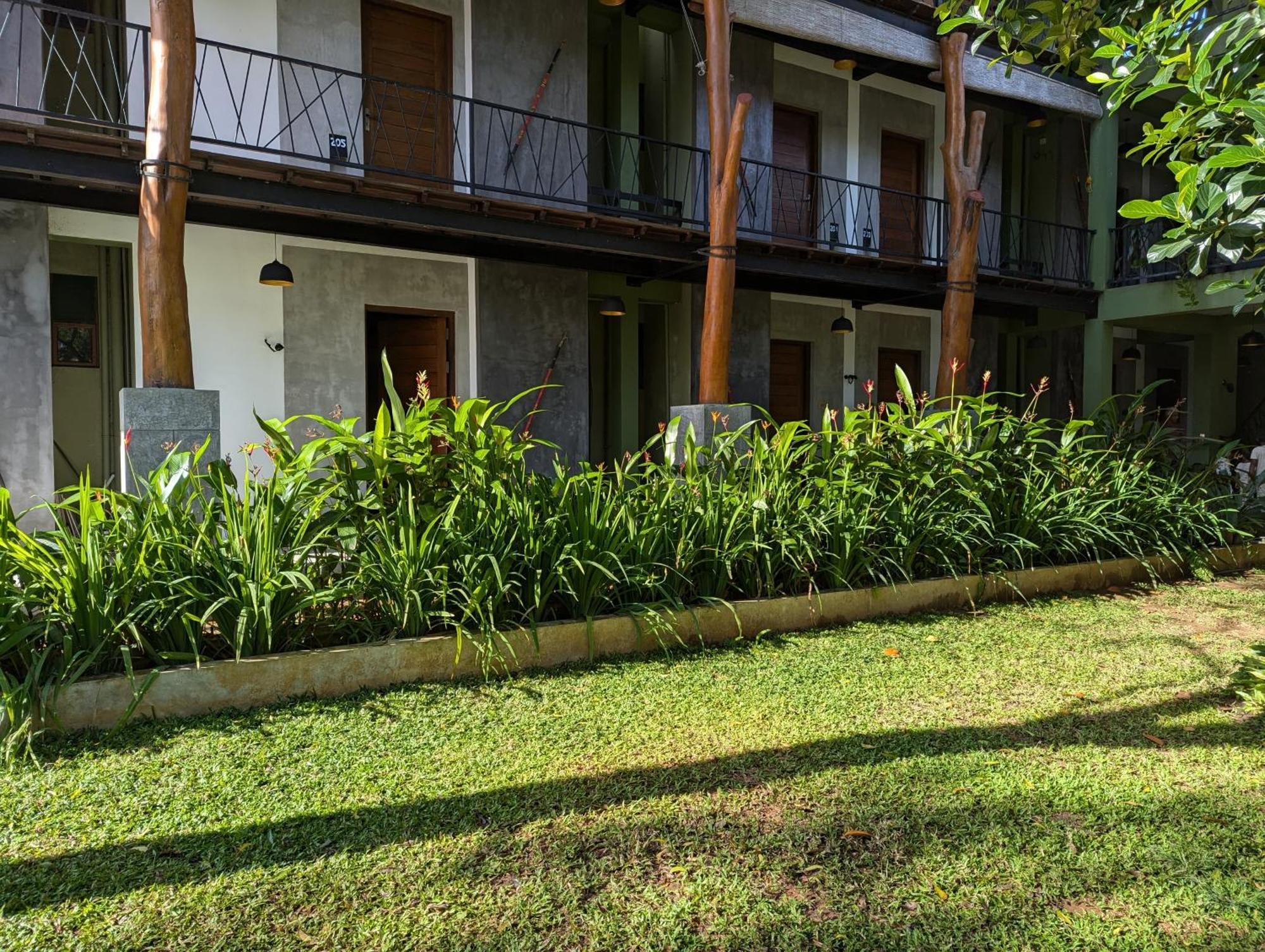 Royal Tusker Hotel Udawalawe Zewnętrze zdjęcie